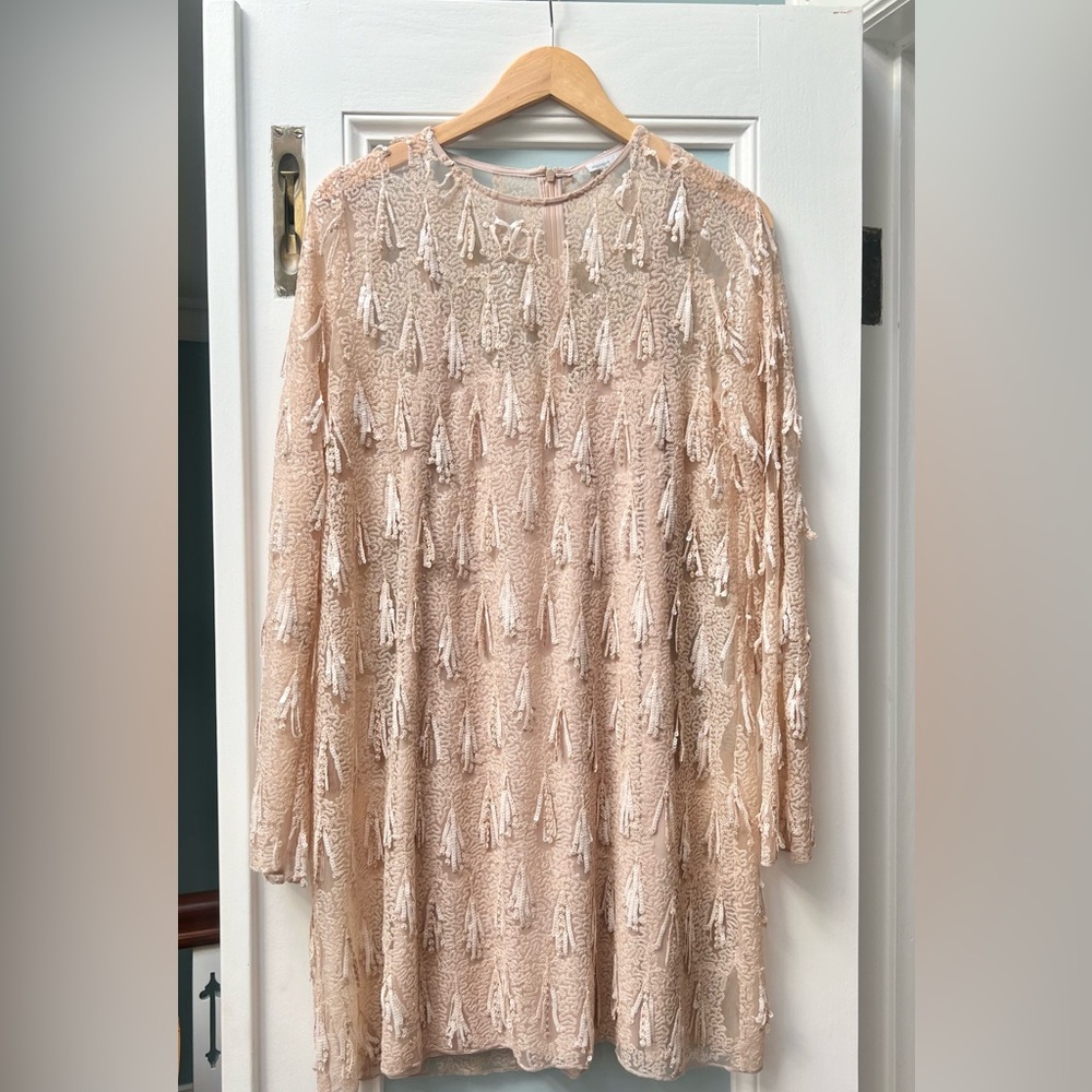Zara long sleeve sequin dress